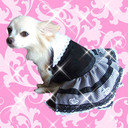 SX̉IӂXJ[gɉ̎hJy[֑IPARRTONԃSXhXzAXyybg0111z 20080109VN_ ...