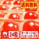 yԌ@z̓ɁI5{ɂ͂܂IR`YnEXځIWG[{bNXLTCY24... ...