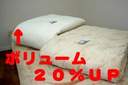 yj[fz_̏ɂ悤ȃty_EDꂽۉ́z}CNT[Cg~pbhy_uz 0115Vt... ...