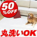 Z[ SALE@OFF rO Vv k_ |bv fUC   ې zbgJ[ybgJo[OKysizy50%OFFzT ...