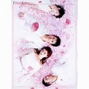 @First@Love@DVD?BOX / nĘY^[cq