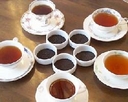w5kinds teaZbgxg̐VZbg5ނ̒t20gÂĂ(2007/10/10HA)[ցyIz... ...